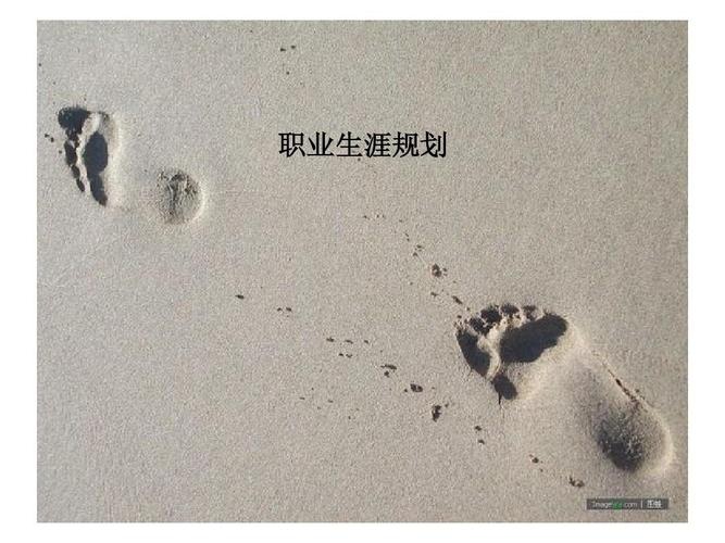 地面數字電視發射機,單子葉植物有哪些 低碳環保圖片_7692電腦故障大全